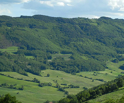 La vallata verde intorno a Castrignano