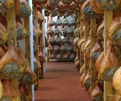 Un corridoio della cantina, tra le file di prosciutti appesi