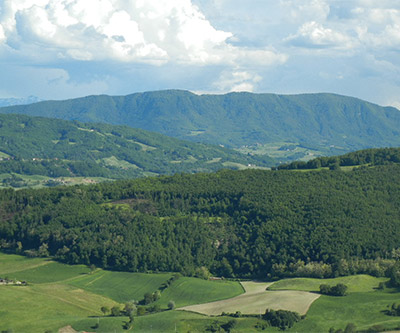 Le colline che circondano lo stabilimento