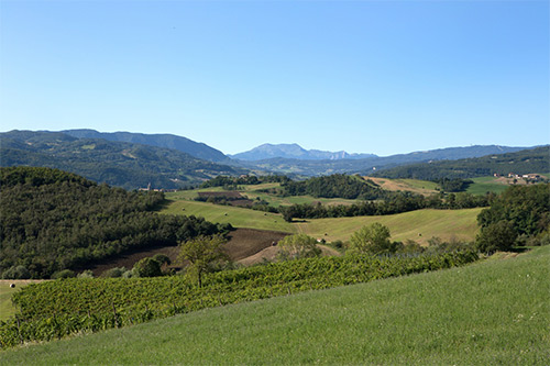 Meravigliosa location sulle verdi colline di Castrignano