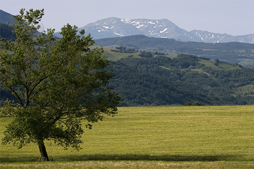 Meravigliosa location sulle verdi colline di Castrignano