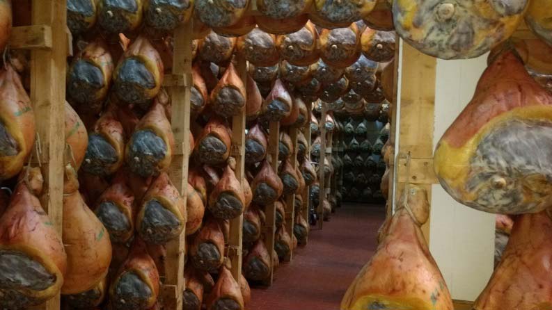 Visite guidate e degustazioni in cantina